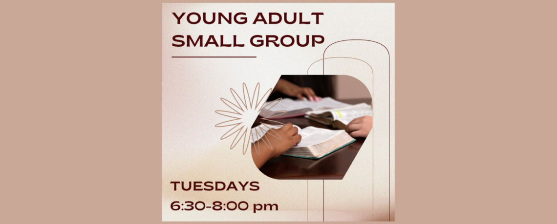 Young Adult Small Group